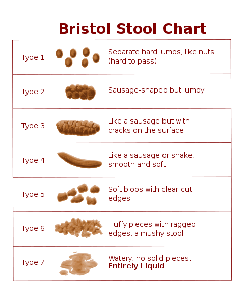 Be aware of your usual bowel habits and changes in stool formation ...